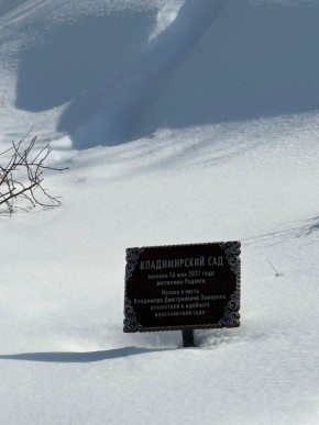ДП Родной в Полевском - polevskoj.yutvil.ru - фото 11