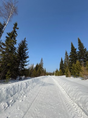 ДП Родной в Полевском - polevskoj.yutvil.ru - фото 7