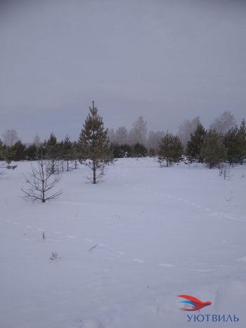 Земельный участок поселок Баженово в Полевском - polevskoj.yutvil.ru - фото 5
