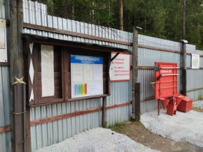 г.Верхняя Пышма СНТ №5 Березки в кв. 22 Среднеуральского Уралмашевского лесхоза в Полевском - polevskoj.yutvil.ru - фото 18