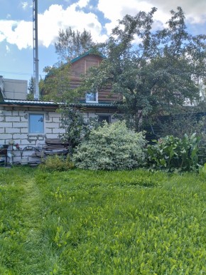 Коллективный сад номер 7, участок 58 в Полевском - polevskoj.yutvil.ru - фото 21 Коллективный сад номер 7, участок 58 в Полевском - polevskoj.yutvil.ru - фото 21