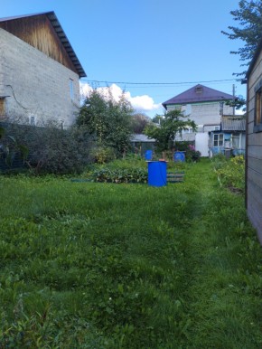 Коллективный сад номер 7, участок 58 в Полевском - polevskoj.yutvil.ru - фото 26 Коллективный сад номер 7, участок 58 в Полевском - polevskoj.yutvil.ru - фото 26