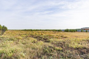 Российская Федерация, Свердловская область, Сысертский городской округ, территория садоводческого некоммерческого товарищества Бобровские дачи, улица Каштановая, земельный участок № 38 в Полевском - polevskoj.yutvil.ru - фото 15