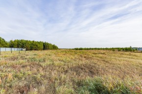 Российская Федерация, Свердловская область, Сысертский городской округ, территория садоводческого некоммерческого товарищества Бобровские дачи, улица Каштановая, земельный участок № 38 в Полевском - polevskoj.yutvil.ru - фото 16