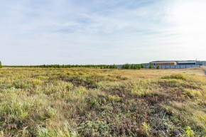 Российская Федерация, Свердловская область, Сысертский городской округ, территория садоводческого некоммерческого товарищества Бобровские дачи, улица Каштановая, земельный участок № 38 в Полевском - polevskoj.yutvil.ru - фото 24