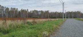 с. Новоалексеевское, КП Оникс,  в Полевском - polevskoj.yutvil.ru - фото 2