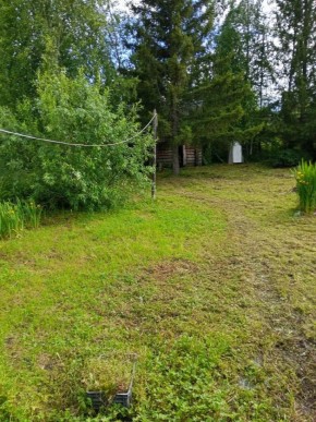 СНТ Калининец-10, уч. 1-11-3 в Полевском - polevskoj.yutvil.ru - фото 10 СНТ Калининец-10, уч. 1-11-3 в Полевском - polevskoj.yutvil.ru - фото 10