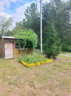 СНТ Родники в Полевском - polevskoj.yutvil.ru - фото 2