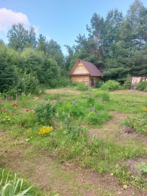 СНТ Родники в Полевском - polevskoj.yutvil.ru - фото 3