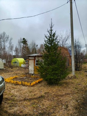 СНТ Родники в Полевском - polevskoj.yutvil.ru - фото 5