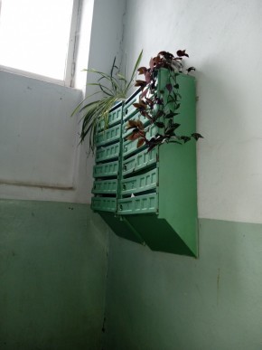 ул. Бажова,11 в Полевском - polevskoj.yutvil.ru - фото 2 ул. Бажова,11 в Полевском - polevskoj.yutvil.ru - фото 2