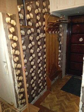 ул. Бажова,11 в Полевском - polevskoj.yutvil.ru - фото 9 ул. Бажова,11 в Полевском - polevskoj.yutvil.ru - фото 9