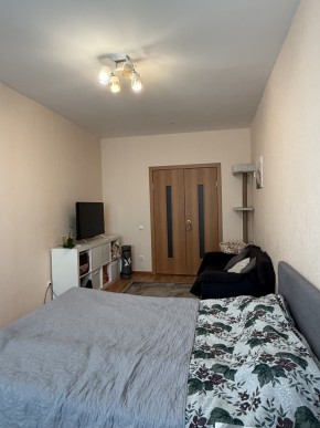 ул. Вильгельма де Геннина,47 в Полевском - polevskoj.yutvil.ru - фото 9